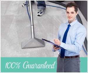 Best Customer Service Carpet Steam Cleaners